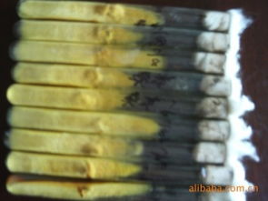 舒城縣金大地菌種廠 高品質(zhì)食用菌菌種產(chǎn)品與進出口業(yè)務(wù)概覽