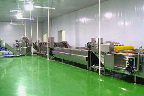 筑巢引鳳添動力，招商引資促發展 譜寫食用菌菌種進出口產業新篇章