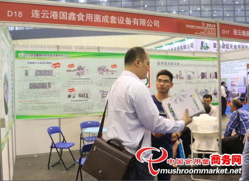 江蘇國鑫食用菌攜四大新品亮相鄭州菌博會，加速布局菌種進出口市場